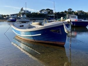 WhatsApp Image 2021 09 19 at 19.26.11 2